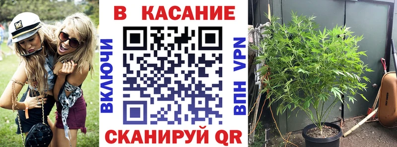 Названия наркотиков Шуя Марихуана  Амфетамин  ГАШИШ  Меф 