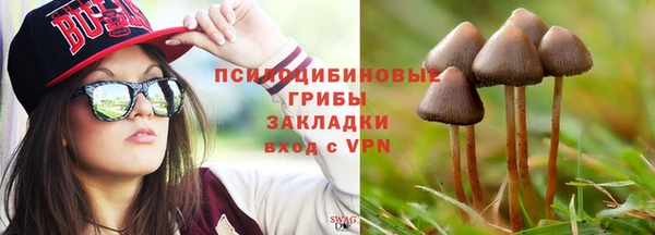 синтетический гашиш Богородицк