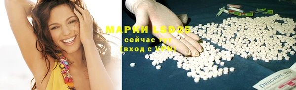PSILOCYBIN Богданович