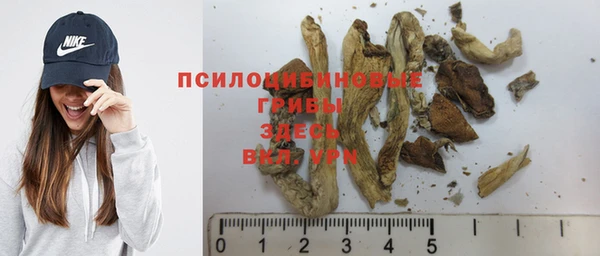 PSILOCYBIN Богданович