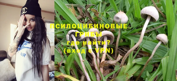 дурь Богородск