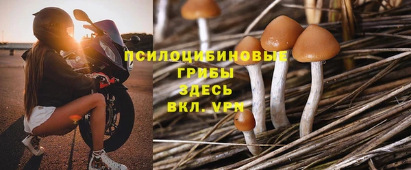 синтетический гашиш Богородицк