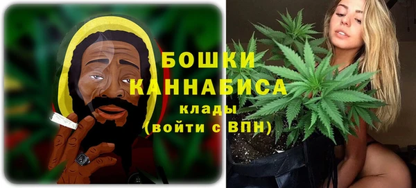 синтетический гашиш Богородицк