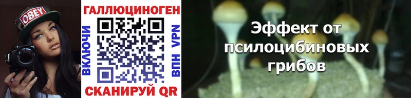 купить наркотик  Шуя  Псилоцибиновые грибы MAGIC MUSHROOMS 